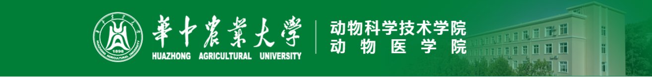 目前的位置